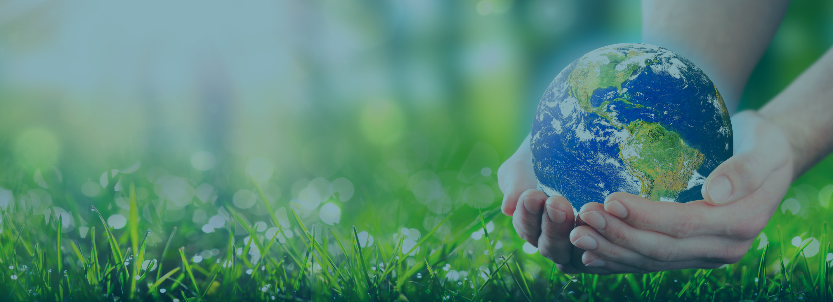 Reducing Your Environmental Impact with Returns Technology